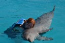 alicia hugs the dolphin