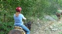 horseback riding in puerto vallarta