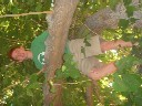 dean climbs a tree