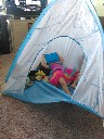 alora lounging in the tent 
